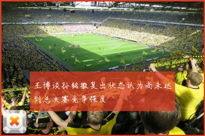 王博谈孙铭徽复出状态认为尚未达到总决赛竞争强度