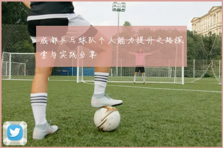 成都乒乓球队个人能力提升之路探索与实践分享